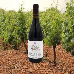 VINOS TINTOS