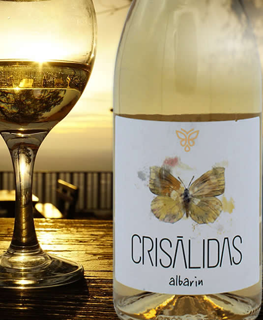 crisalidas albarin