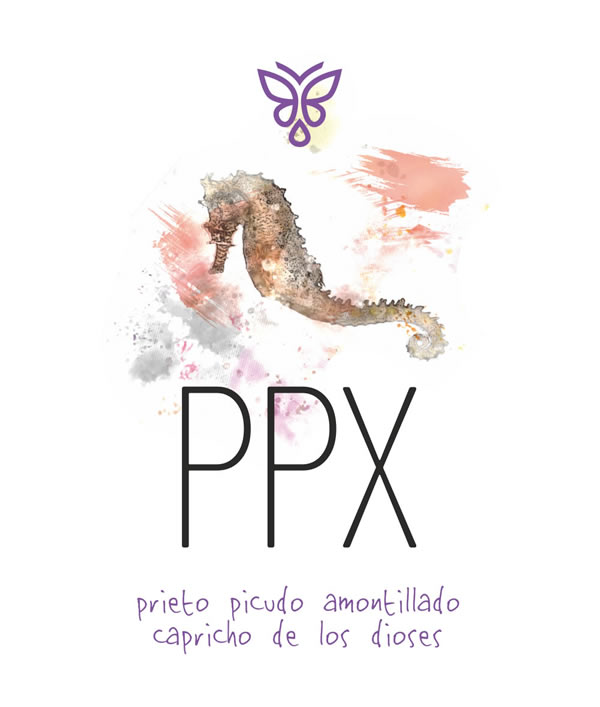 elaboracion especial ppx