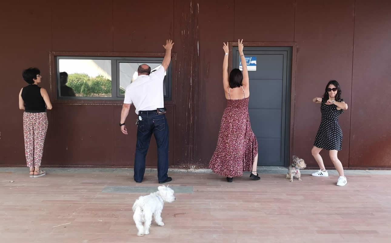familia crisalidas 2